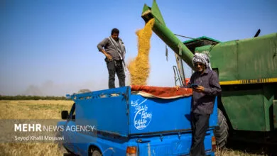 پیک اقتصادی ایران