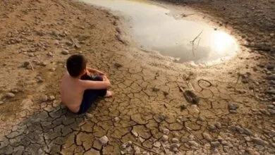 پیک اقتصادی ایران