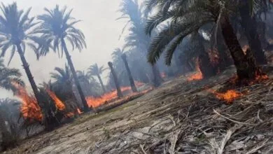 پیک اقتصادی ایران